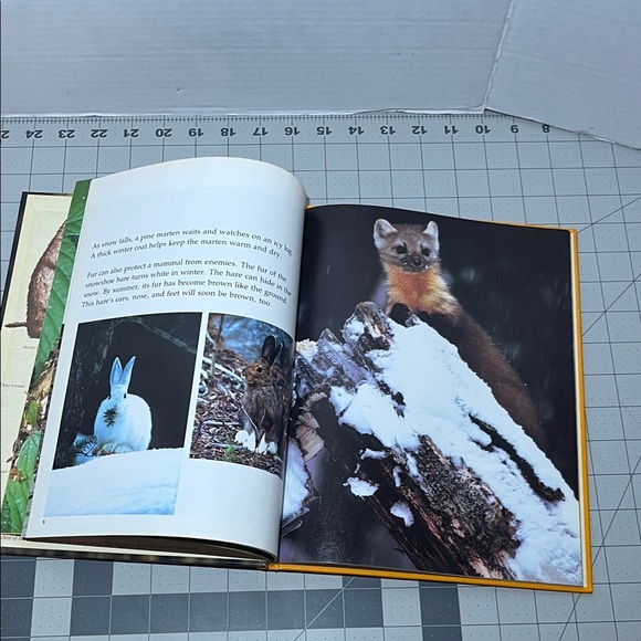 Creatures Small and Furry Book - Picture 6 of 6